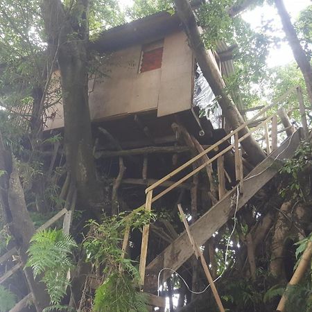 Castle Tree House And Bungalow White Sands Rum bild