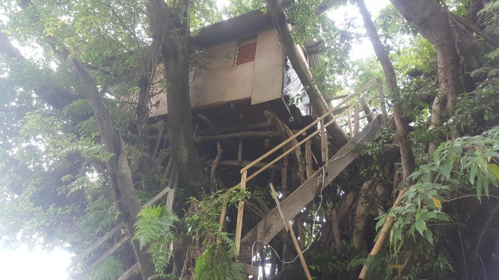 Castle Tree House And Bungalow White Sands Rum bild