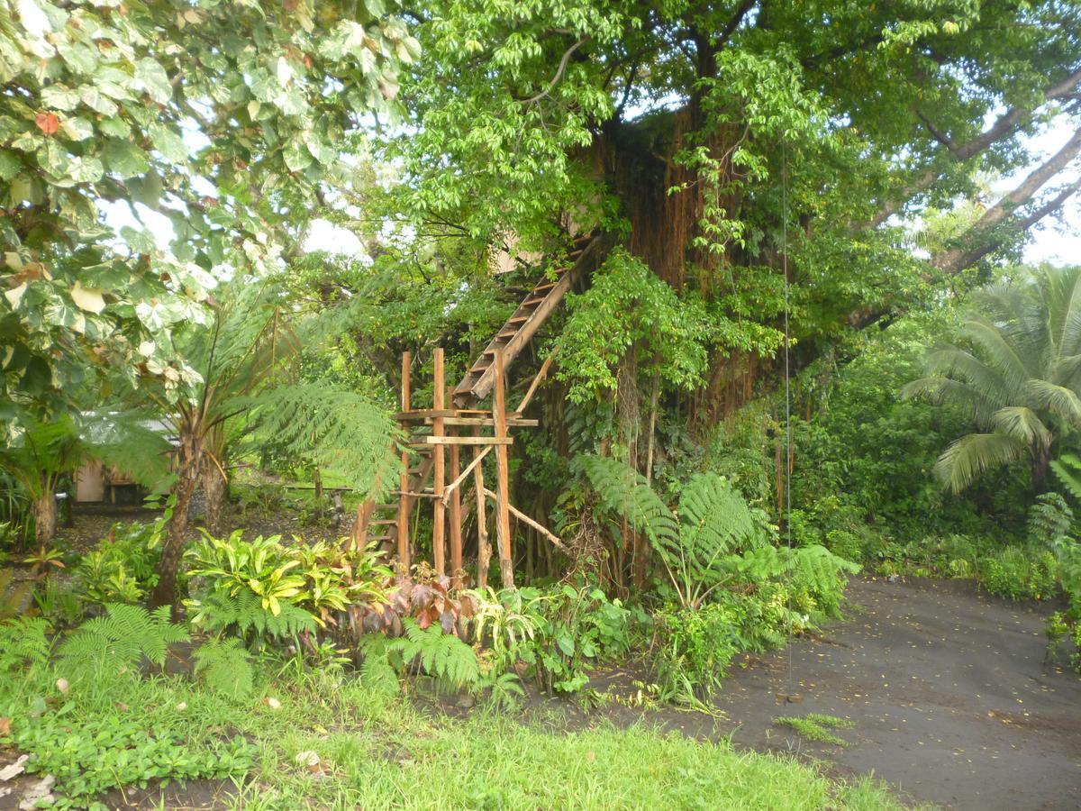 Castle Tree House And Bungalow White Sands Exteriör bild