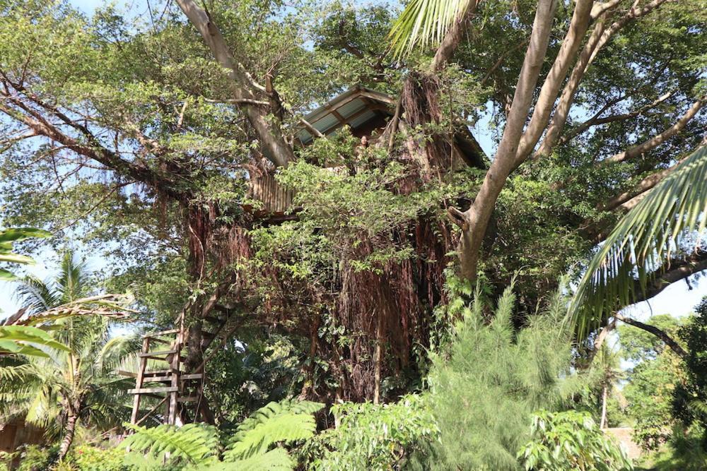 Castle Tree House And Bungalow White Sands Exteriör bild